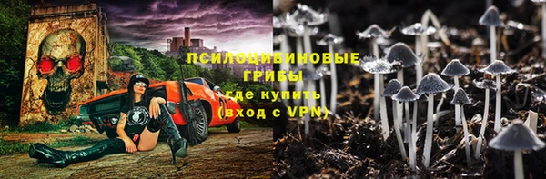 ПСИЛОЦИБИНОВЫЕ ГРИБЫ Алзамай