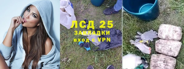 ПСИЛОЦИБИНОВЫЕ ГРИБЫ Алзамай