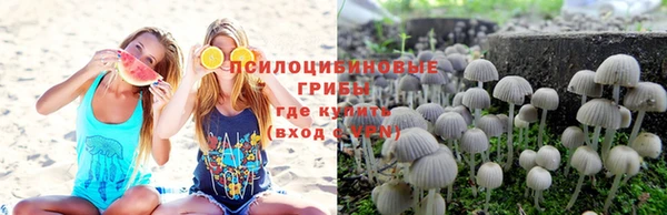 амф Алексин