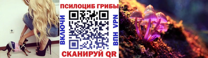 Псилоцибиновые грибы мухоморы  что такое   ссылка на мегу ONION  Тейково 